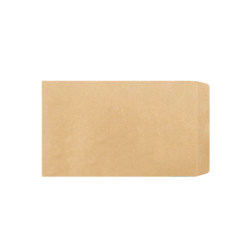 Kingdee 100 Sheets No. 2 Kraft Paper Envelopes, 176*109mm, Blank Envelopes without Text for Invoices And Paychecks, BCBQ16-2 No