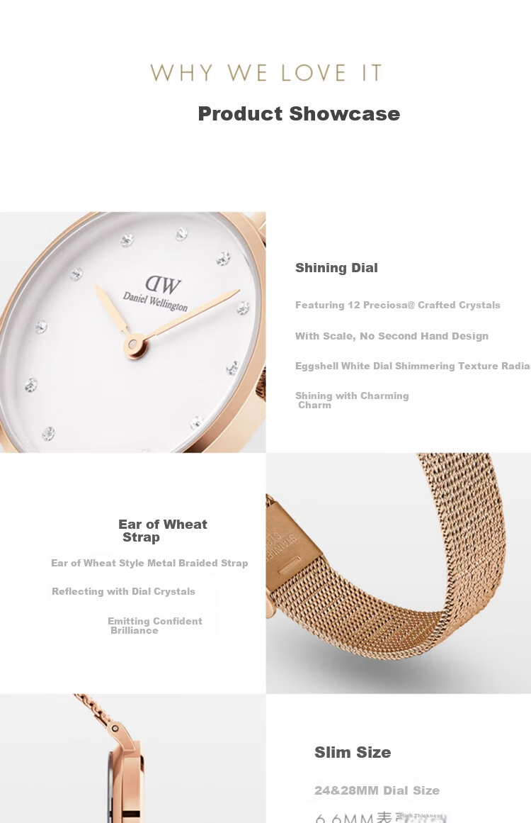 Daniel Wellington DW Women's Watch Light Luxury Golden Minimalist Quartz European and American Style Wristwatch Birthday Gift for Girlfriend DW447 5