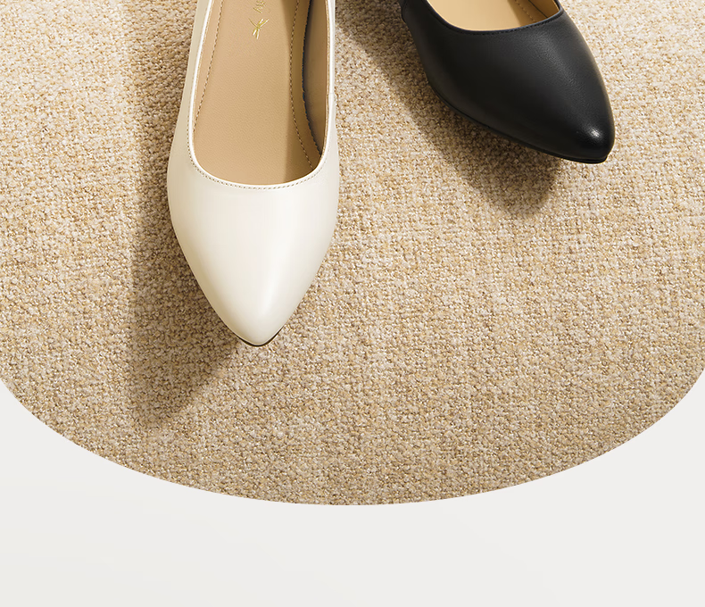 RED DRAGONFLY Shallow-Mouth Pumps, Women's Spring Shoes, Chunky Heel High Heels, French-Style Commuter Leather Shoes WLB15058, Beige, Size 39 2