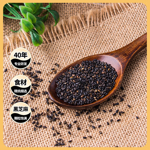 南方黑芝麻600g 黑芝麻糊 营养早餐 代餐食品 【新老包装随机发货】