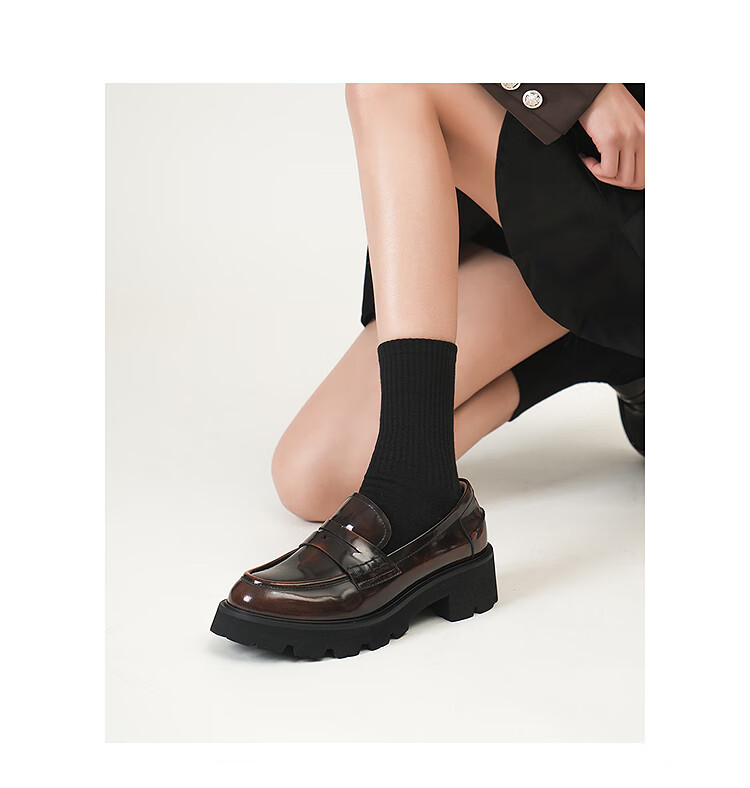 Le Saunda Family Spring And Summer New British Retro Chunky Heel Loafers for Women 45301, Vintage Brown BRB, Size 36 1
