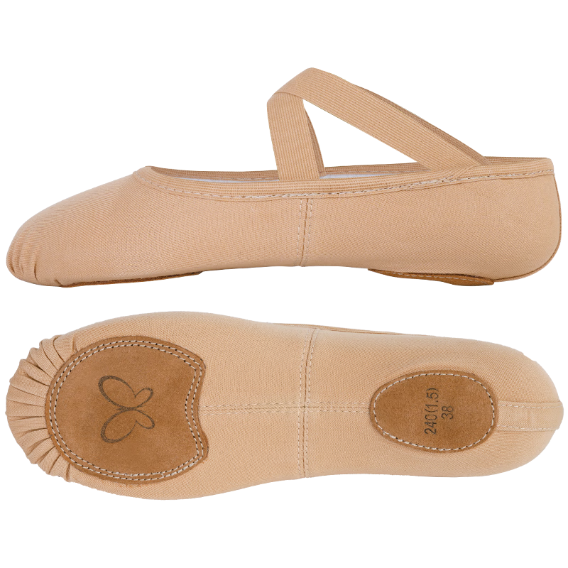 Aiwu Ge Cloud Ballet Dance Shoes Adult Professional Soft Sole Practice Shoes 816 Light Pink Size 38