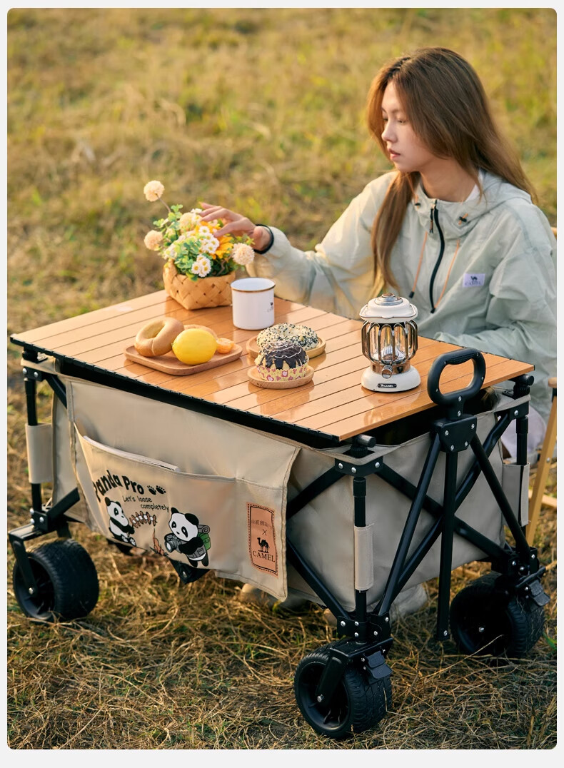 CAMEL Camping Car Folding Tableboard Outdoor Camping Storage Board Stall Cart Desktop Carbon Steel High Load 174BJ36623 8
