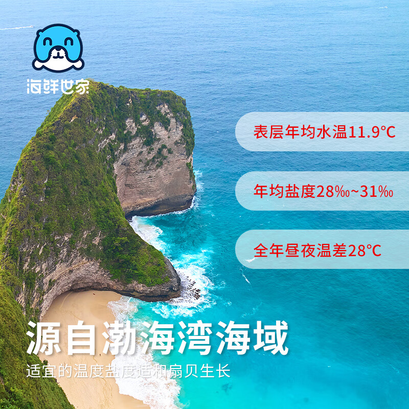 海鲜世家冷冻扇贝柱净重450g 65-80粒 瑶柱 生鲜火锅烧烤食材海鲜生鲜贝类