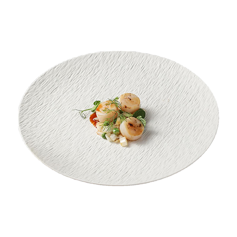 Chuanqi Ceramic Dinner Plate, Japanese-Style Western Plate, Large Flat Plate for Beef And Fruit, 10 Inches, Frosted White