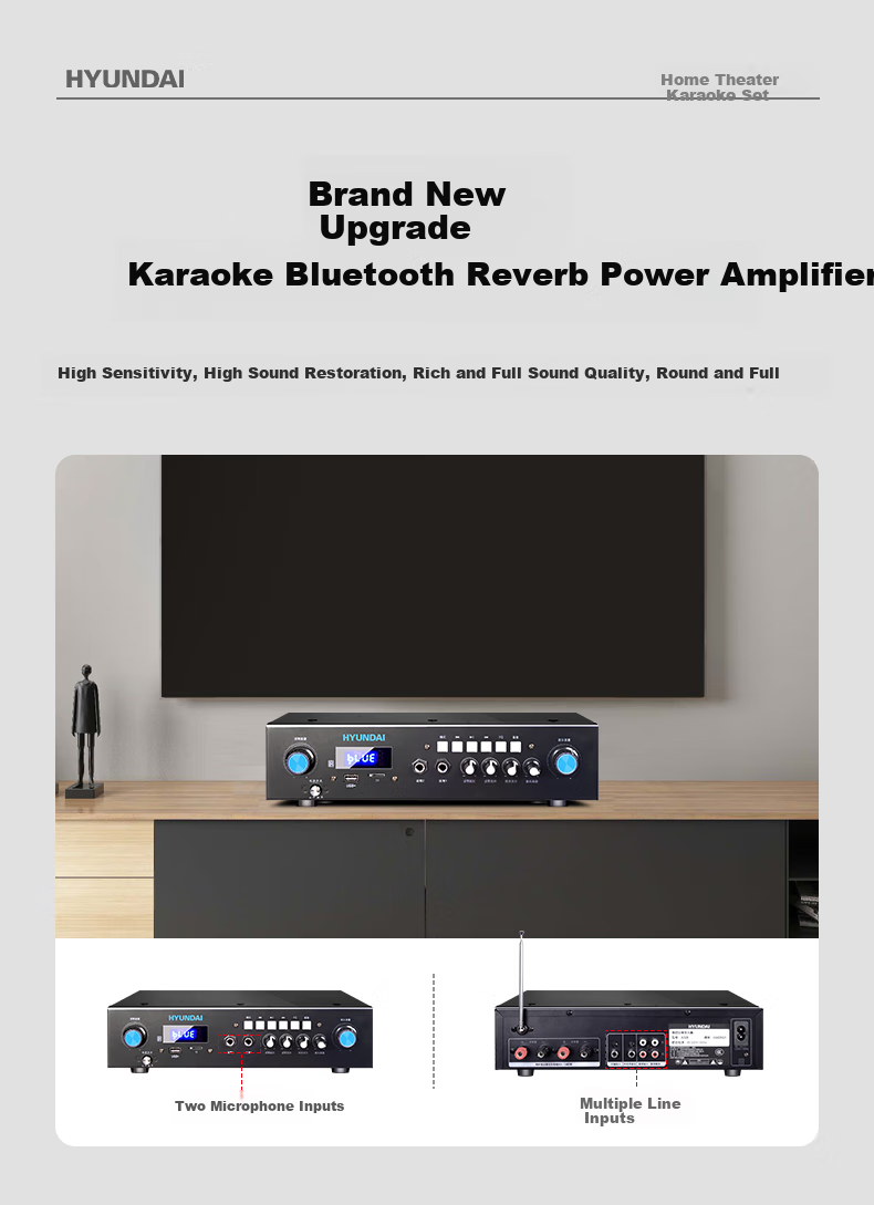 HYUNDAI Home Theater KTV Sound System Set, Professional Amplifier for Living Room, Conference Room, Karaoke, Complete Package with Speakers And Equipment for Shops And Karaoke Venues 5