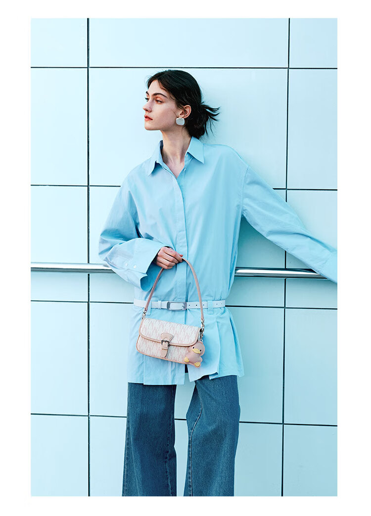 NUCELLE Women's Handbag, 2026 New Light Luxury Niche Small Square Bag, Commuter Shoulder Crossbody Ladies Purse, Birthday Gift for Wome 10