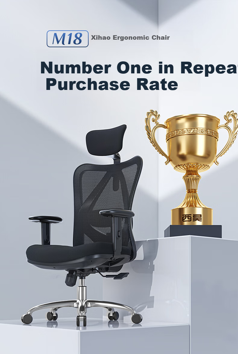 SIHOO M18 Ergonomic Office Chair, Home Computer Chair, Swivel Chair with Four-Way Lumbar Support 3