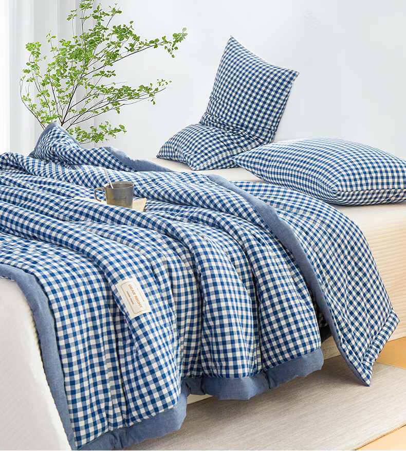 HLA Antibacterial Class A 21% Soybean Fiber Summer Cool Quilt Spring And Autumn Air Conditioning Quilt Cool Sensation Quilt Core Machine Washable 220*240cm 1