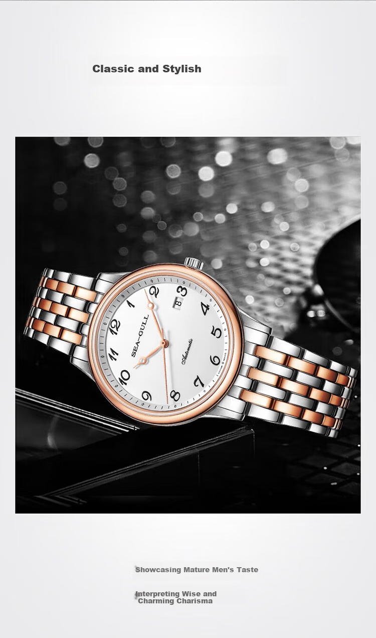 SEAGULL Automatic Mechanical Watch for Men, Simple Calendar Men's Watch, Birthday Gift for Men, National Watch 819.13.1054 23
