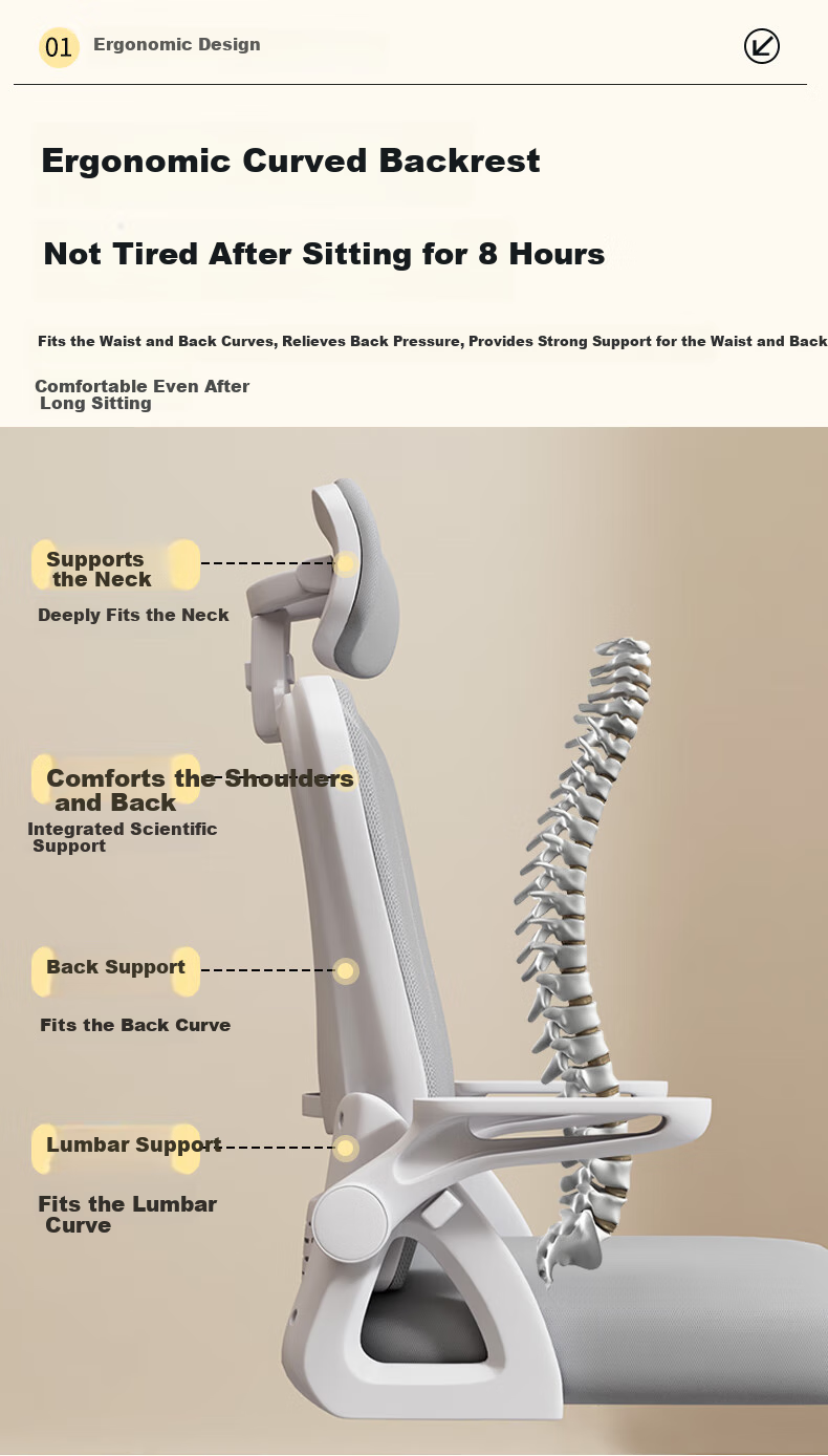 Chibailun Computer Chair, Office Chair, Home Student Writing And Study Chair, Gaming Chair, Bow-Shaped Backrest Chair, Ergonomic Chair 3