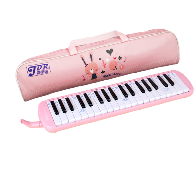 JDR Accordion Leather Bag Waterproof 37-Key Student Children Beginner Performance Classroom Teaching Pink