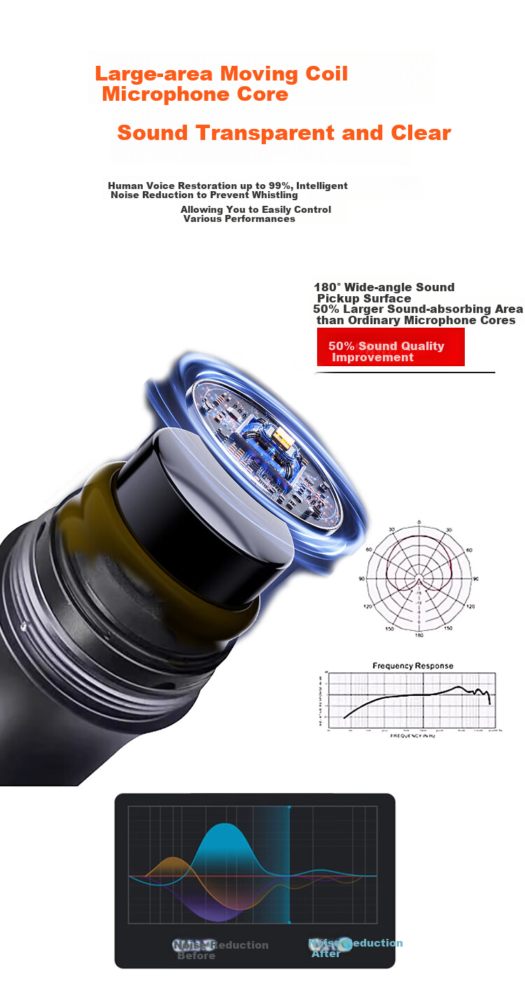 BBS Wireless Microphone, Professional U-Band Handheld Two-Channel UHF Microphone, Home Karaoke KTV Singing, Home Conference Speech, Long-Range Transmission, Stage Hosting Training TH-6 6
