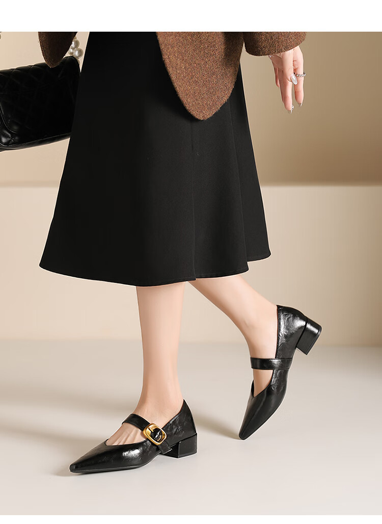 Josiny French Pointed Toe Single-Strap Mary Jane Shoes for Women, New Spring And Autumn 2026 Style Leather Shoes, Retro Chunky Heel Pumps, Black, Size 35 7