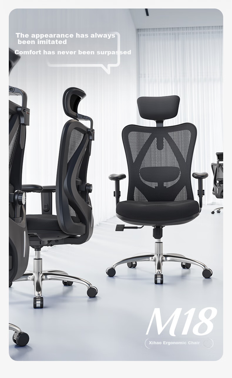 SIHOO M18 Ergonomic Office Chair, Home Computer Chair, Swivel Chair with Four-Way Lumbar Support 4