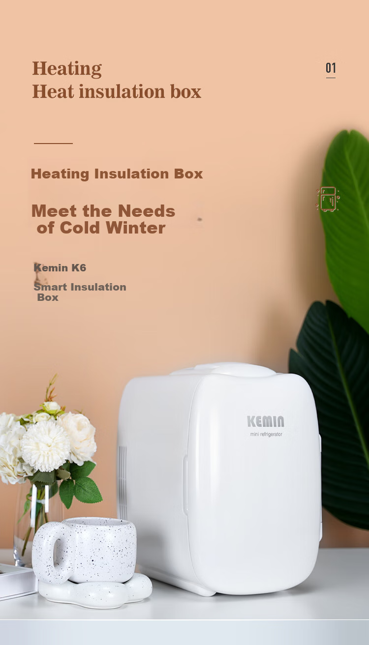 Kemin 6L Heating And Insulated Box, Mini Home Dormitory Office Cooler Cabinet, Small Refrigerator for Rental Apartments, Upgraded Versio 1