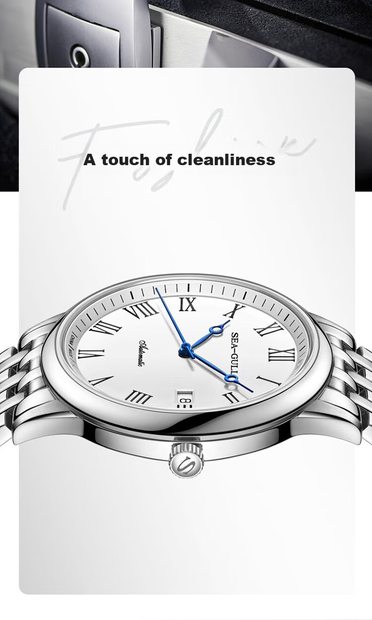 SEAGULL Automatic Mechanical Watch for Men, Simple Calendar Men's Watch, Birthday Gift for Men, National Watch 819.13.1054 10