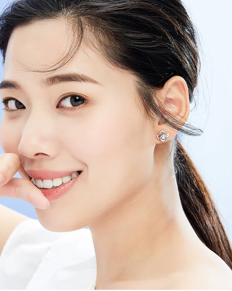 Zhoubaifu Silver Needle Weekly Earrings for Women, Luxury Set, Weekly Ear Jewelry Set, Birthday And Christmas Gift for Girls 1