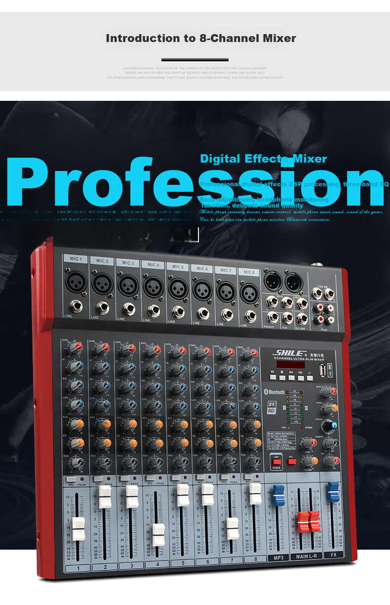 SHILE 12-Channel Professional Mixing Console for KTV, Stage Events, Meetings, Performances, Recording Digital Analog Mixer Tianqin No. 10 with XLR Cable Versio 2