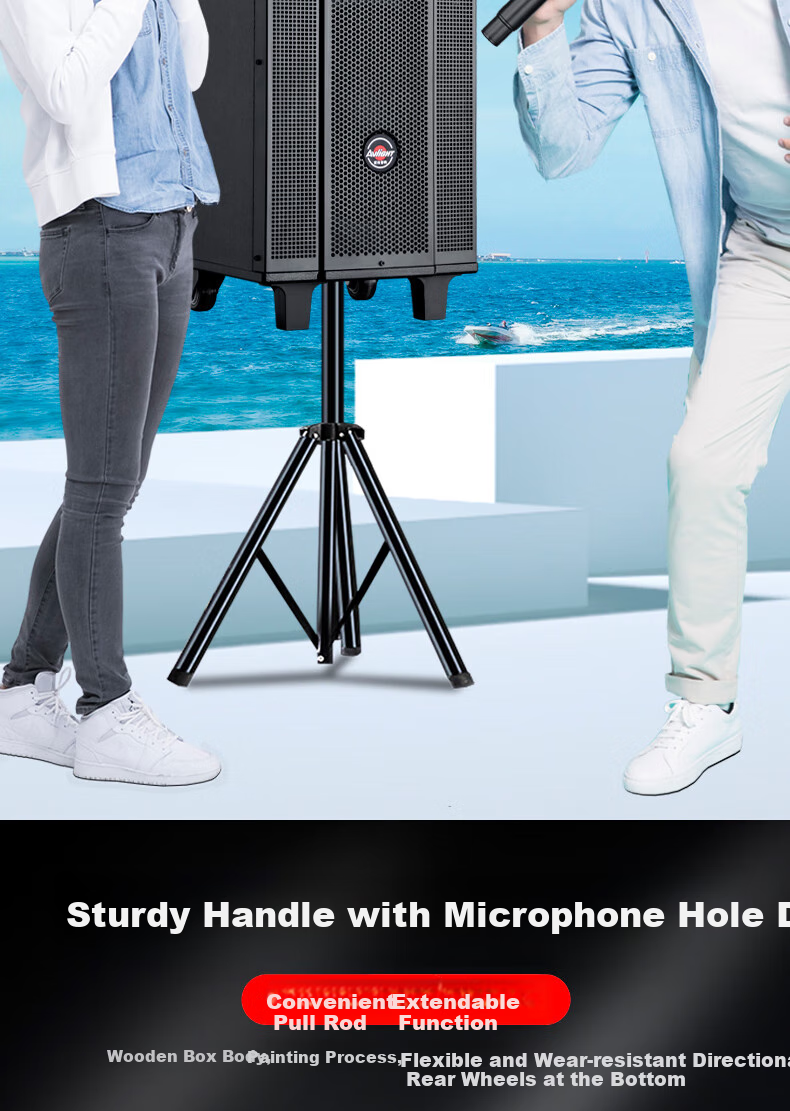 Ailang K52 Square Dance Speaker, Heavy Bass, Home And Outdoor Karaoke, Electric Guitar Folk Acoustic Instrument Speaker, Performance Bluetooth Trolley Speaker with Microphone, 12-Inch 12