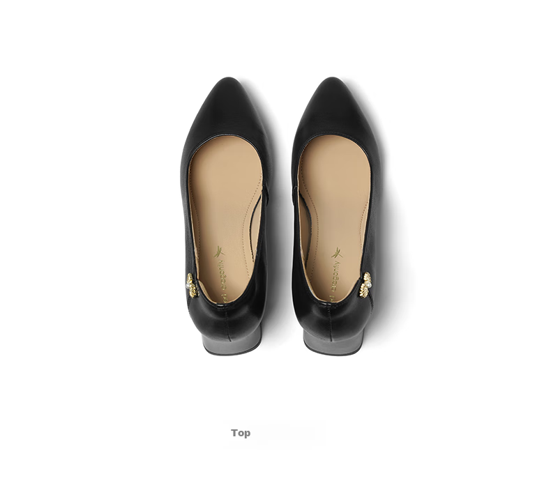 RED DRAGONFLY Shallow-Mouth Pumps, Women's Spring Shoes, Chunky Heel High Heels, French-Style Commuter Leather Shoes WLB15058, Beige, Size 39 13