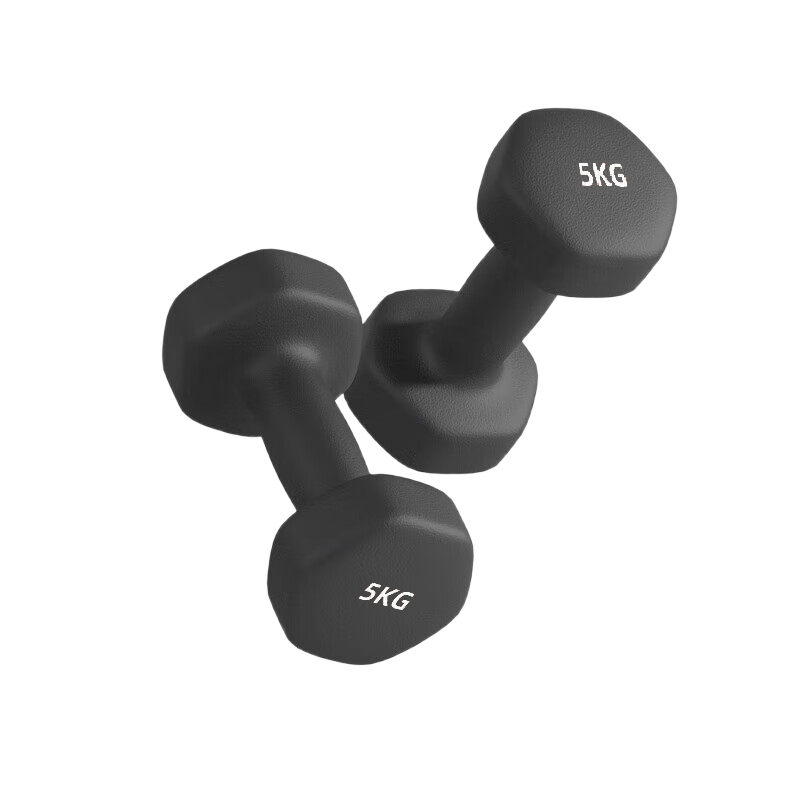 Chengyue Color-Coated Dumbbell for Men And Women, Home Fitness Muscle Arm Shaping, Light And Heavy Weights, Ebony 5kg*2 CY-571