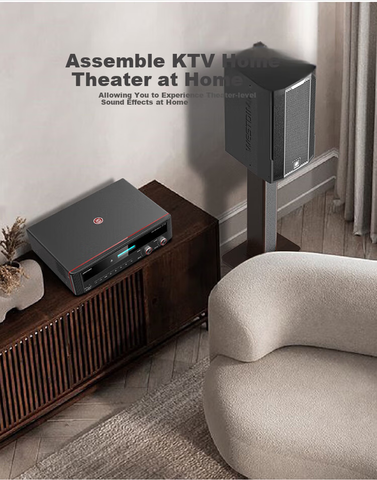 WESTDING Amplifier for Home Theater with Speaker Combination, 2.0 Channel, 1200W Peak Power, AK-393 Amplifier, One Unit 6