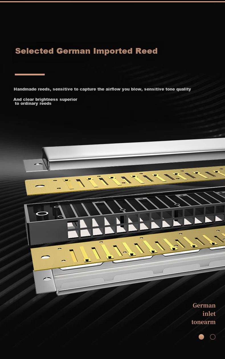 HOHNER German 24-Hole Polyphonic Harmonica 2540/48C Professional Adult Beginner Student Performance Harmonica 6