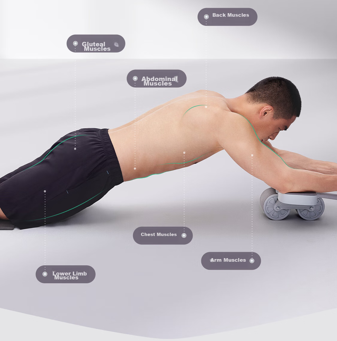 Keep Abdominal Wheel, Automatic Rebound Elbow Support Band, Assisted Plank Support, Abdominal Training Device, Double Wheels, Glacier Gray 16