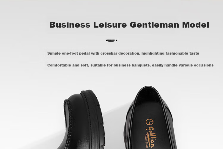 Goldlion Men's Loafers, Leather Shoes, Comfortable Slip-On Business Casual Shoes G550310452AAB - Black - Size 40 3