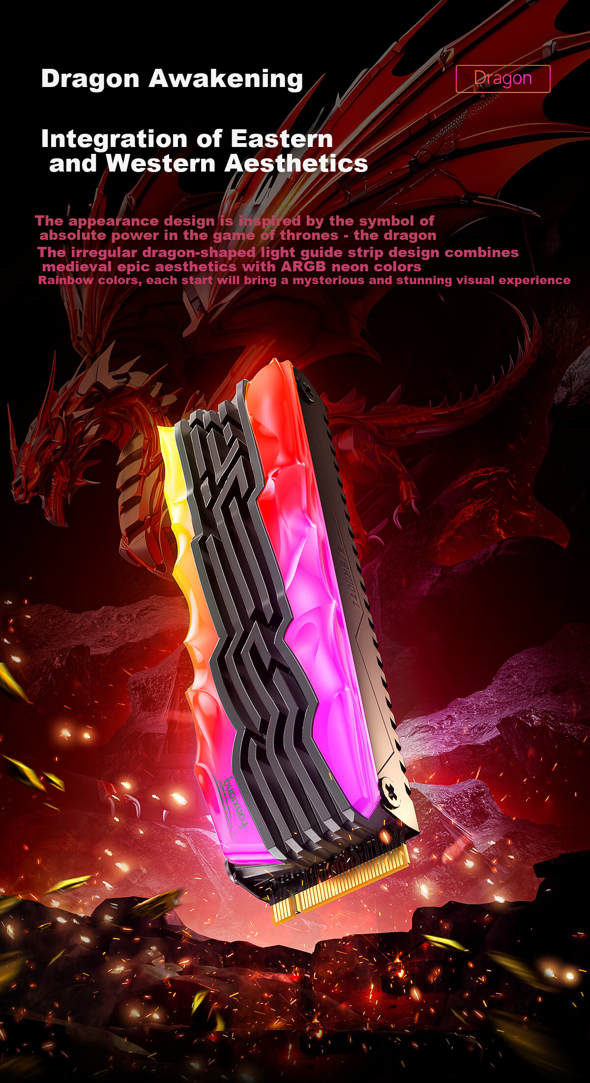 FANXIANG 1TB SSD Solid State Drive, M.2 Interface NVMe Protocol PCIe4.0 TLC NAND TLC RGB Colorful Lighting Effects, Read Speed 7400MB/s, Computer Upgrade S790R 3