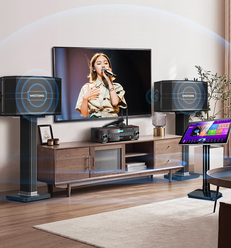 WESTDING Home KTV Sound System Package, Complete Karaoke Equipment Set, Karaoke Machine with Voice Selection, Living Room 10-Inch Four-Way Speaker Set, 118 Set 6