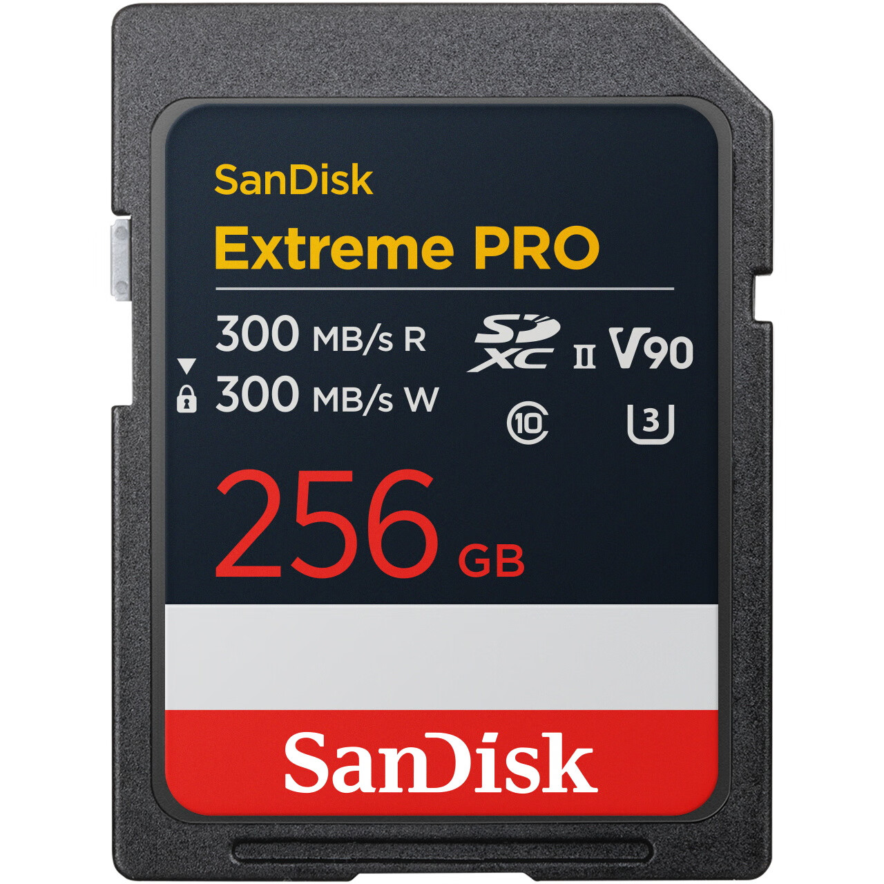 SanDisk (S-01213561