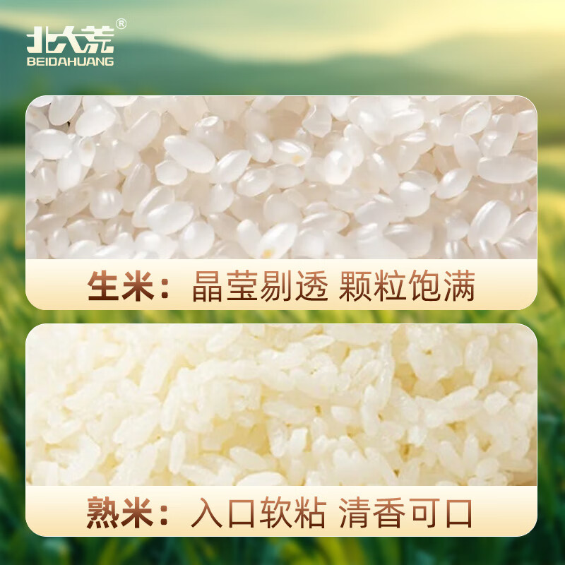 北大荒珍珠米10斤 东北大米5kg 圆粒粳米 粮油 当季新米 自营