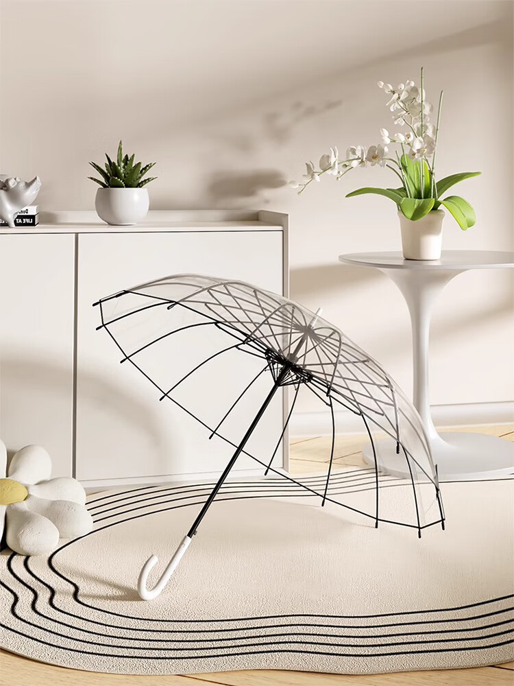 Fanyejia 16-Rib Long Handle Transparent Umbrella, Instagram-Style Atmosphere, Photography Tool, Straight Pole Eco-Friendly Large Double Umbrella 1