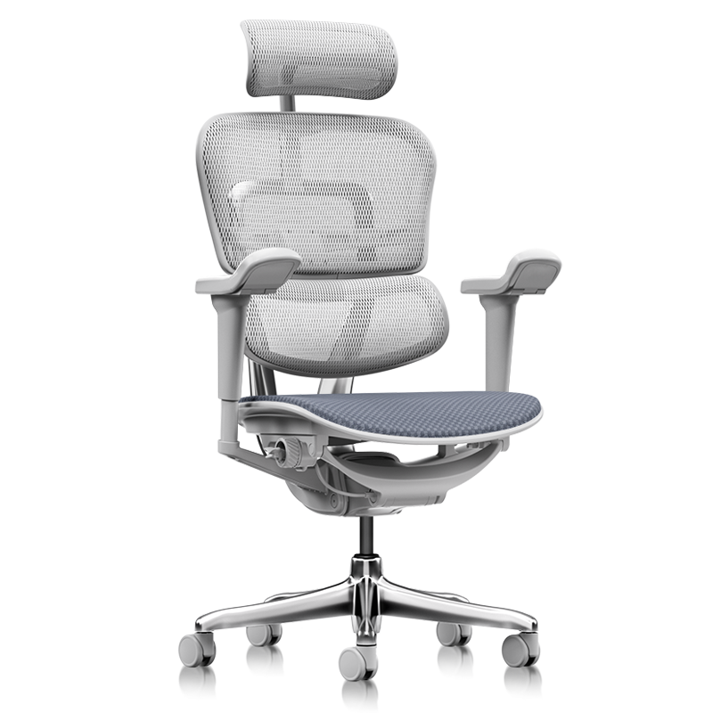 Ergonor Baoying/Yuedong Ergonomic Chair, Lumbar Support Office Chair, Computer Chair, Silver White (Cloud Cushion)
