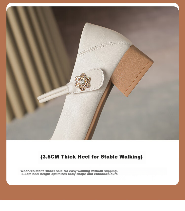 ZHR Women's Single Shoes Elegant One-Strap Mary Jane Shoes with Chunky Heel Fashionable Women's Shoes AH506 Apricot Color Size 36 12