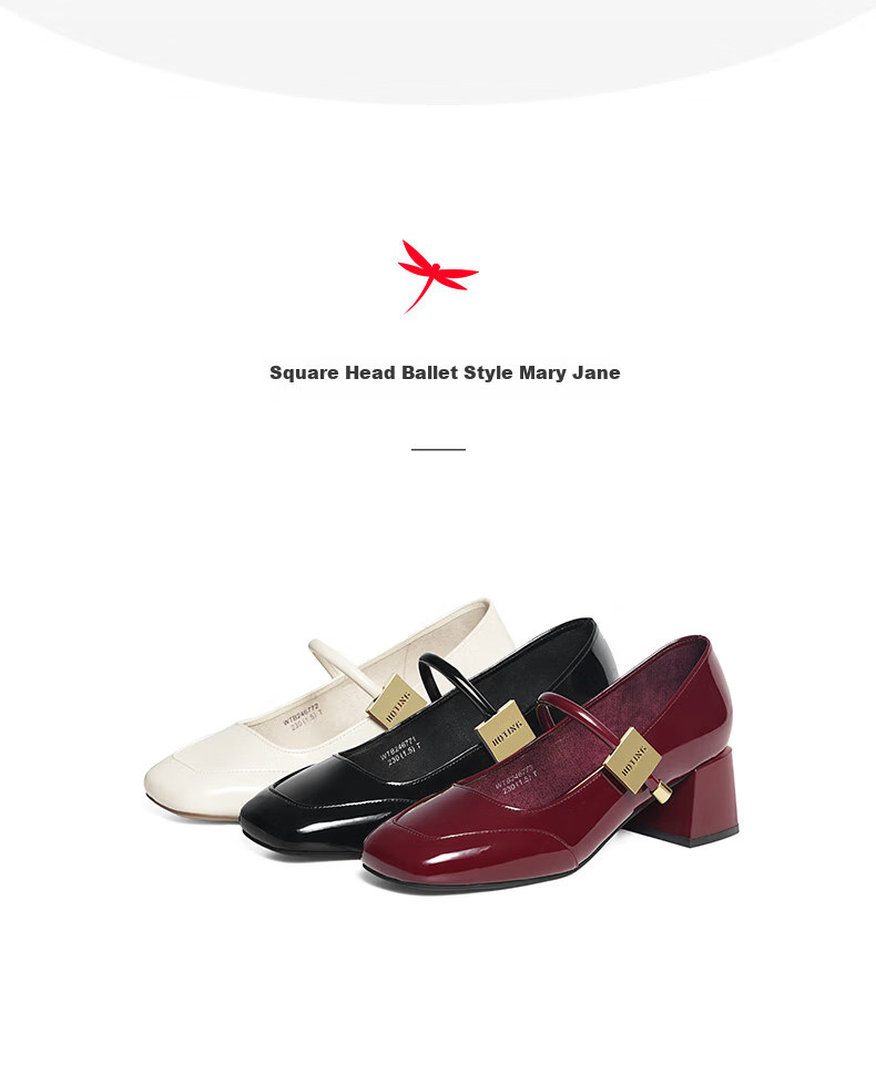 RED DRAGONFLY Mary Jane Shoes Spring And Autumn Elegant French Style Leather Shoes Chunky Heel Women's Pumps WTB24677 Black 36 2