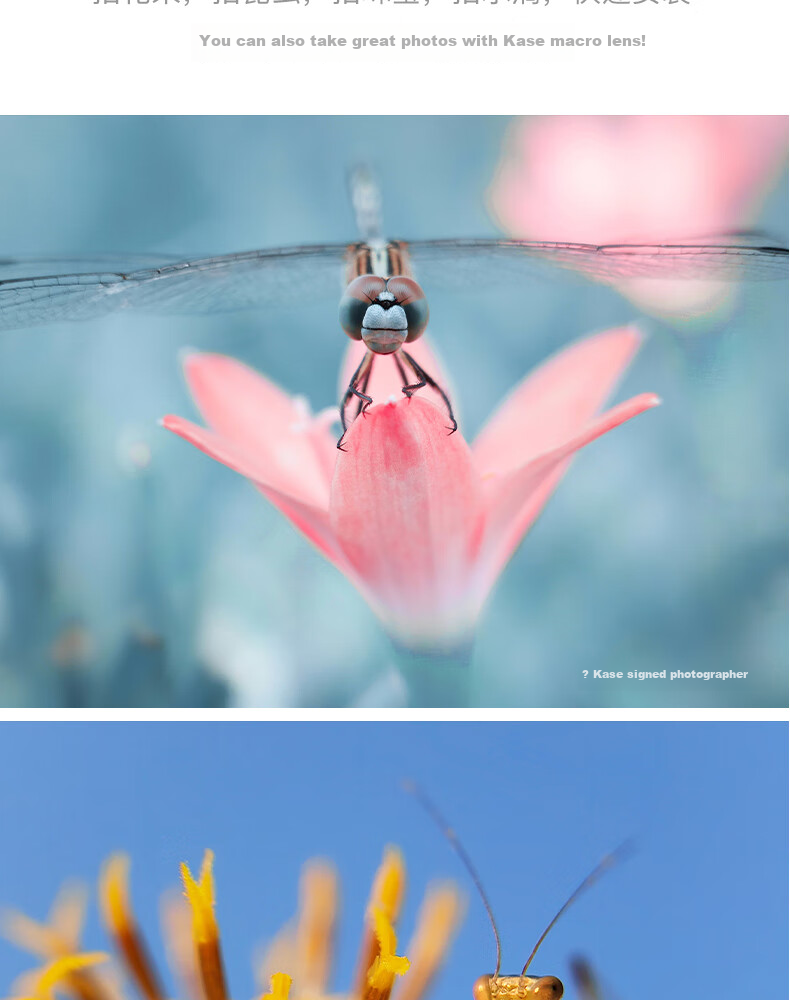 Kase Smartphone Lens, Master-Level Baimei Plus, Flower Bird Fish Insect Jewelry Jewelry Mobile Macro Close-Up Micro Photography Lens 12