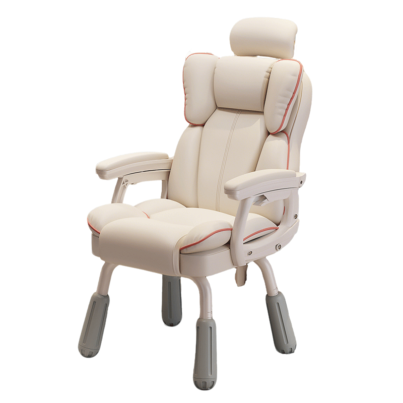 Chibailun Computer Chair Home Bedroom Study Chair Dormitory Comfortable Long Sitting Desk Chair Leisure Backrest Ergonomic Chair