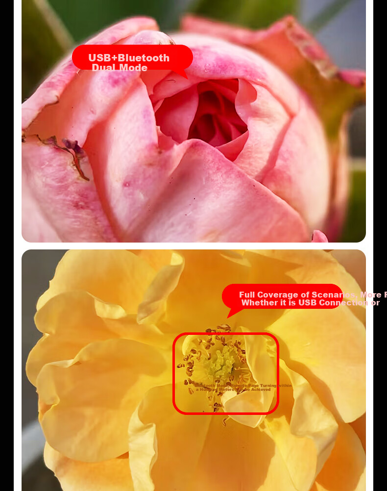 Kase Smartphone Lens, Master-Level Baimei Plus, Flower Bird Fish Insect Jewelry Jewelry Mobile Macro Close-Up Micro Photography Lens 4
