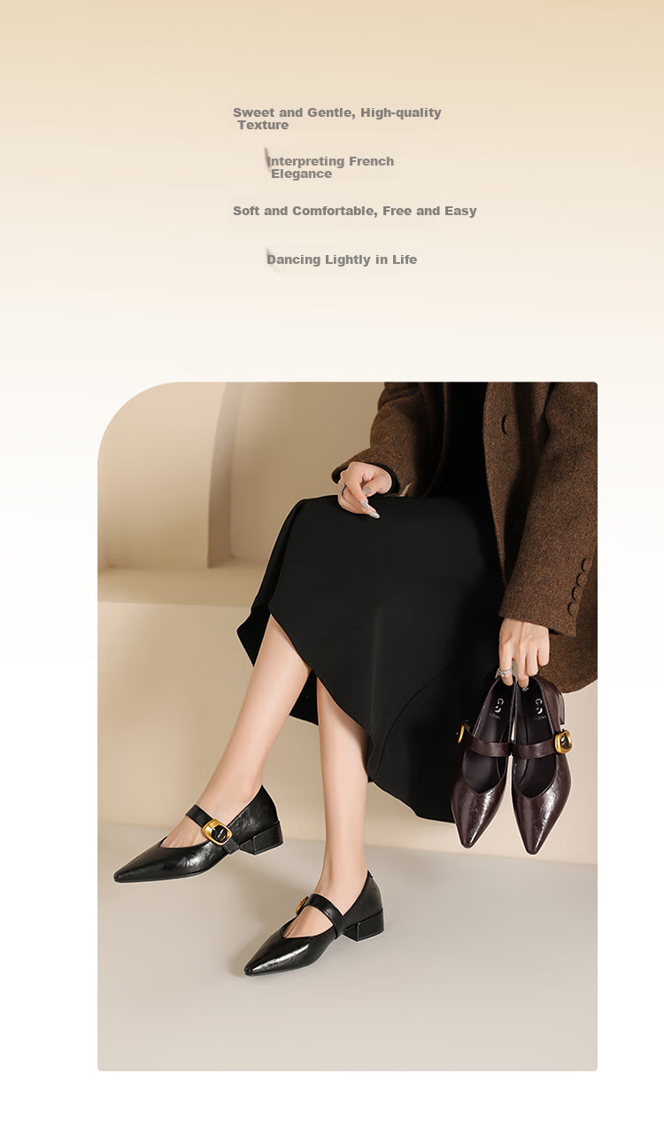 Josiny French Pointed Toe Single-Strap Mary Jane Shoes for Women, New Spring And Autumn 2026 Style Leather Shoes, Retro Chunky Heel Pumps, Black, Size 35 2