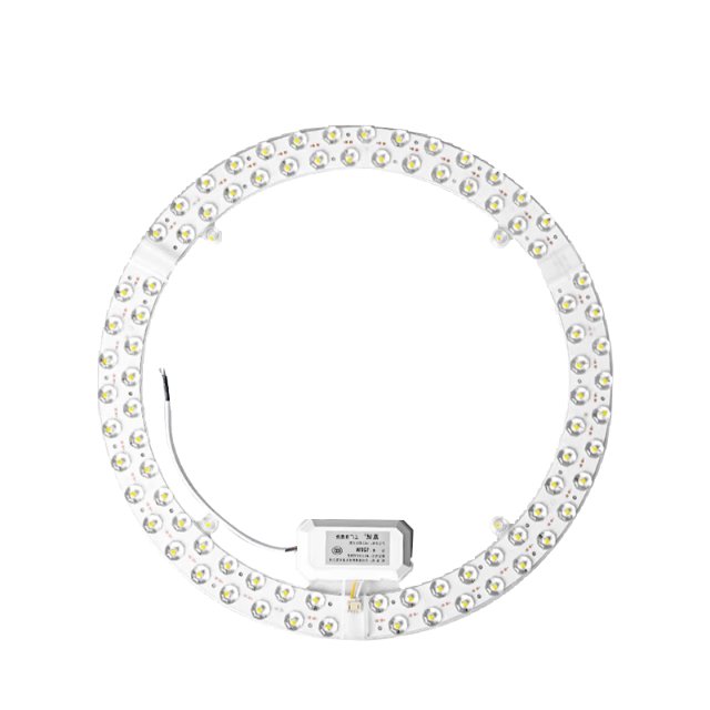 Bote LED Ceiling Light Core Magnetic Replacement Lamp Plate Iron Ring Light Source Module 12W White Light 6500K