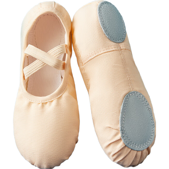 TIEJIAN Dance Shoes, Ballet Practice Shoes, Adult Cat Paw Shoes, Boys And Girls Chinese Dance And Body Movement Shoes, Flesh Color, Size 41