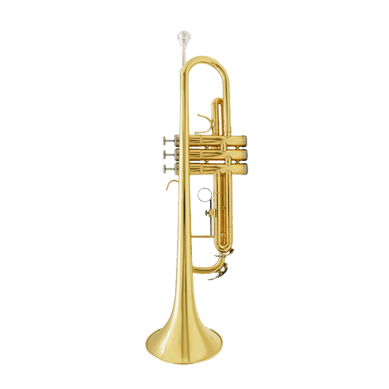 Jinbao JBTR-300 Small Instrument, B Flat Key, for Children Beginners, Students Performance, Grading Exam, Lacquered Western Wind Instrument