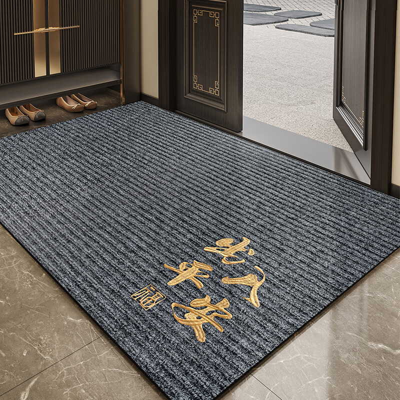 Ruien Simple Entrance Door Mat, Non-Slip Rubber Bottom, for Doorway, Foot Scrubbing Mat, Outdoor Foyer Mat, Dirt-Resistant Carpet