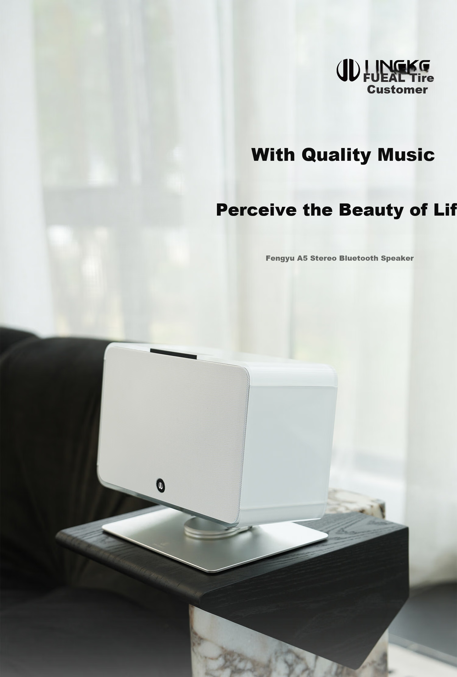 Lingke Fengyu A5 Stereo Bass Bluetooth Speaker, HIFI Bluetooth High-Quality Sound, Active Home Desktop Speaker, Practical Birthday Gift [Hui Sheng Award] Black 1