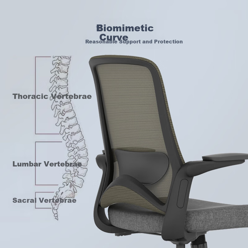 AURORA CELT Dolphin Computer Chair, Office Chair, Simple Mid-Back Adjustable Seat Chair with Flip-Up Armrests And Reversible Backrest