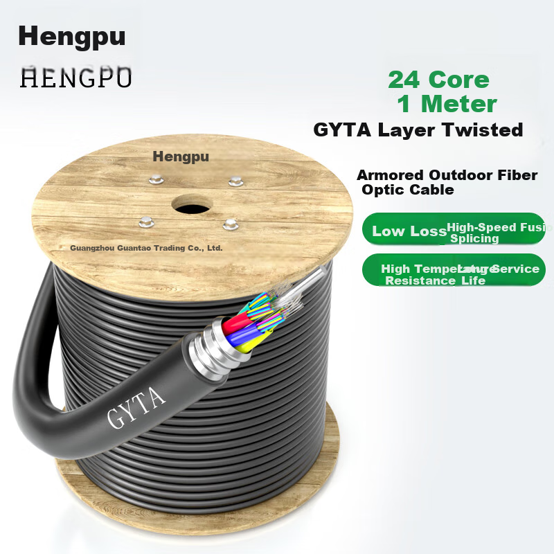 Hengpu GYTA Outdoor Optical Cable, Telecom-Grade National Standard Optical Cable, 24-Core Twisted Single-Mode Armored Outdoor Fiber Optic Cable, 1 Meter, HP-GYTA