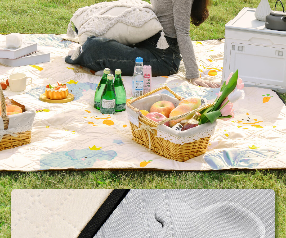 Deli Washable Picnic Mat, Outdoor Camping Ultrasonic Thickened Mat, Moisture-Proof Mat, Portable Tent Crawling Pad 11